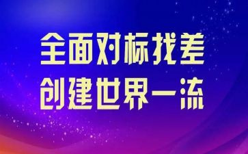 对标学习心得体会8篇