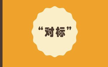 对标工作心得体会精选6篇