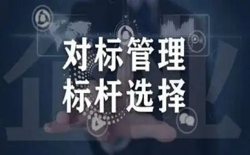 读企业对标管理心得体会通用6篇