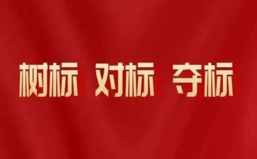 教育对表对标工作计划优质5篇