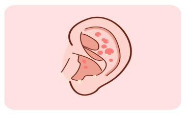 耳边的声音作文5篇