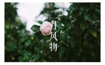 中班十二月份教育心得8篇