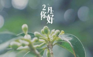 幼儿园十二月计划最新5篇
