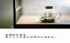 放飞青春梦想演讲稿800字5篇