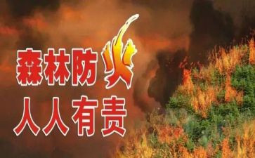 防火教育心得体会6篇