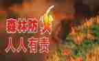 防火教育心得体会6篇