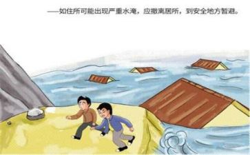市防汛工作总结7篇