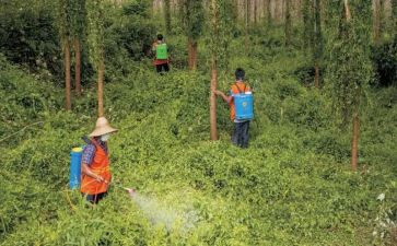 职业病防治法宣传周2024活动总结推荐7篇