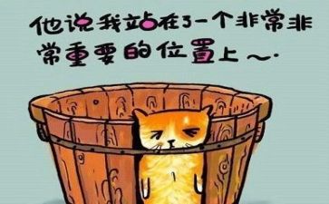 反思总结的作文7篇