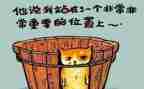 反思总结的作文7篇
