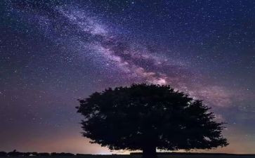 《繁星春水》读后感最新8篇