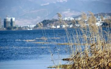 风主题教案模板5篇
