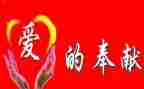 奉献情的演讲稿优质7篇