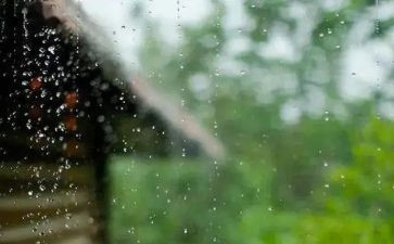 风雨后作文优质8篇