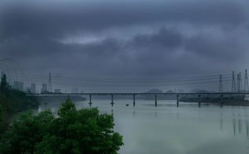 在风雨中成长作文7篇
