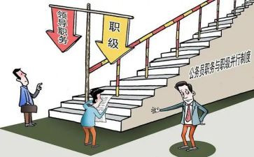 中层副职述职报告6篇