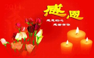 感恩老师的演讲稿优质5篇