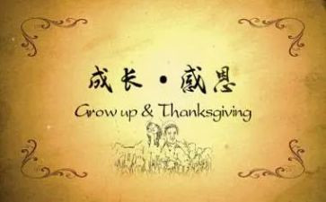 感恩活动总结模板8篇