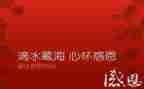 演讲稿感恩的心800字5篇