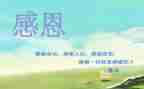 感恩教师活动方案通用8篇
