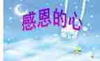 感恩班会教案优秀8篇