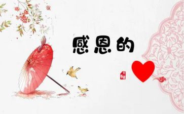我感激您作文6篇