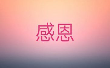 我很感激的你作文6篇