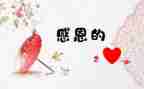 关于感激类的作文6篇