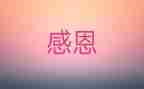 我很感激的你作文6篇