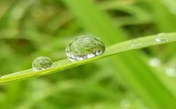 我心灵甘露作文600字参考7篇