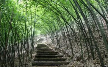感念师恩作文推荐7篇
