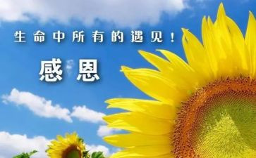 小学生感谢教师的演讲稿7篇