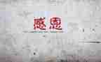 我感谢__作文300字模板8篇