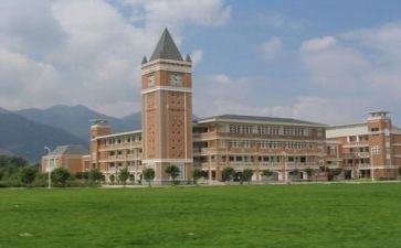 2024年高校教师个人总结5篇