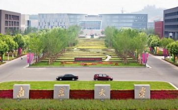 2024年高校教师个人总结最新8篇