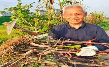 红高粱的心得体会8篇