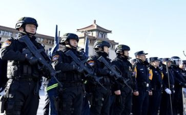 公安工作年度总结7篇