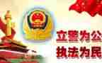 公安年度工作个人总结5篇