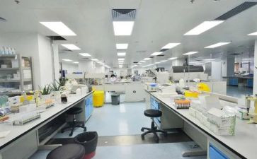 2023年功能科工作计划6篇