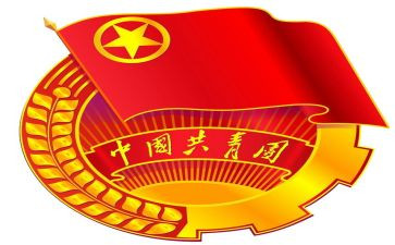 共青团干部自我鉴定5篇