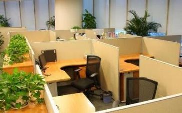 公司销售述职报告通用5篇