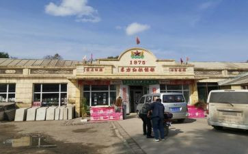 乡镇供销社工作总结5篇