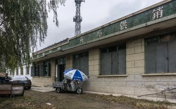 县供销社工作总结6篇