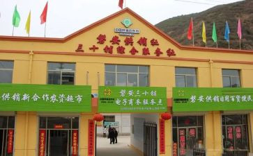 供销社培训工作总结5篇