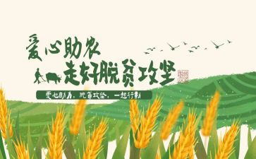 致富能手先进事迹7篇