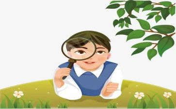 观察雪作文400字作文精选6篇