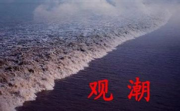 四年级观潮作文400字推荐5篇
