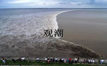 观潮作文200字参考5篇