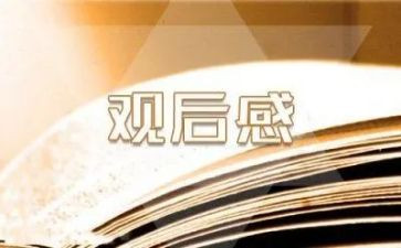 好电影的观后感优质6篇