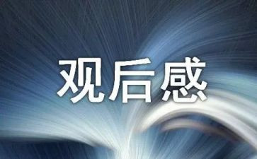 警示教育片观后感警示教育片心得体会6篇